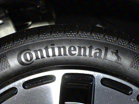 2024�� ���������� ������