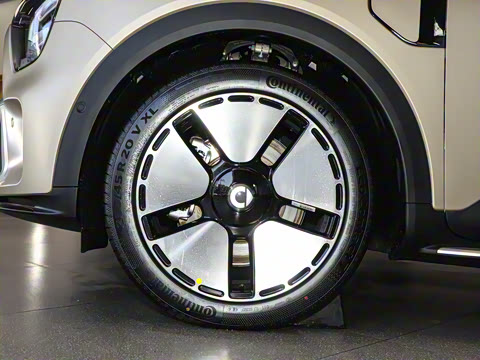 2024�� ���������� ������