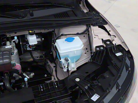 2025�� 650������