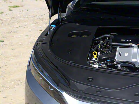 2025�� DM-i �Ǽݰ� 125KM������