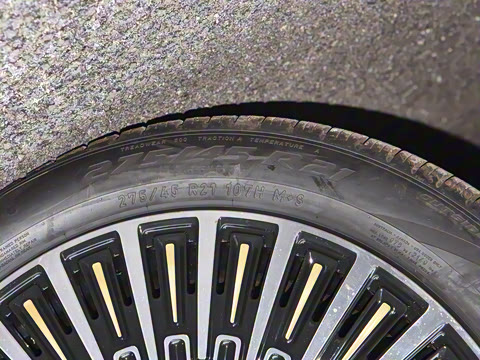 2024�� ������