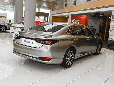 2025�� 300h ������