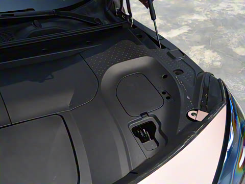 2026�� �鶯������