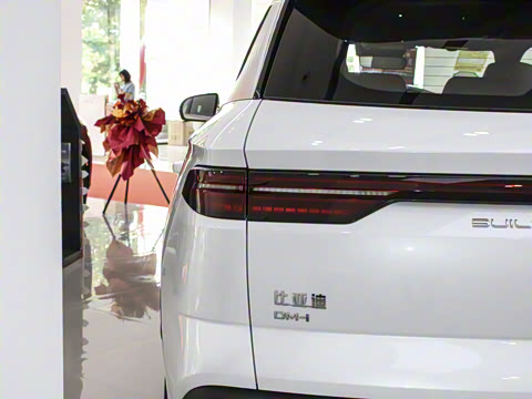 2024�� ��ҫ�� DM-i 71KM��Խ��