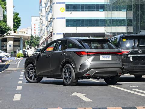 2025�� 300 ����������