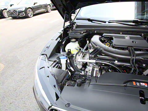 2025�� 2.0T ���ݰ�