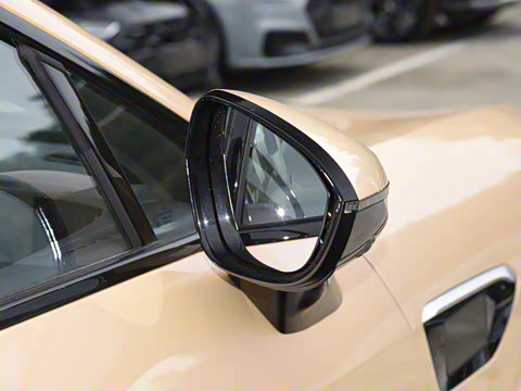 2025�� Max �����