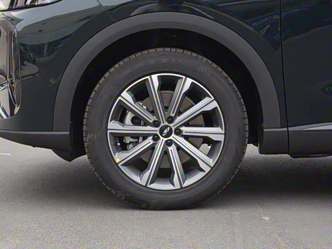 2025�� 120 �������������� 7�� �������