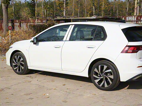 2025�� 300TSI Pro