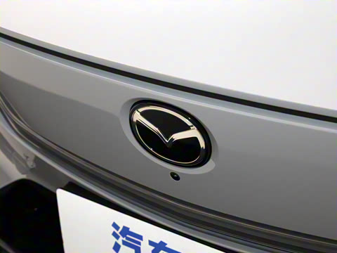 2025�� ����200 Max