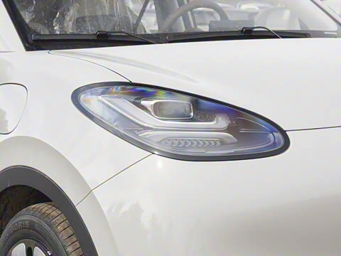 2025�� 333km ������