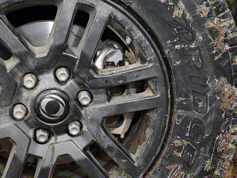 2025�� ��׼��