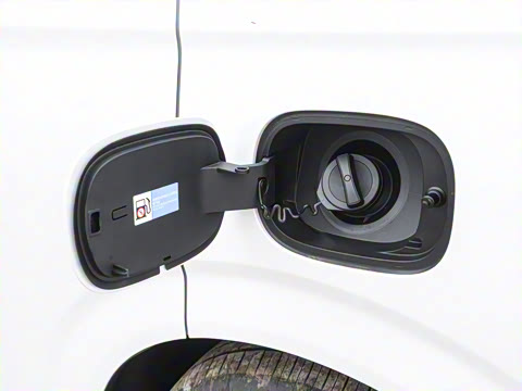 2025�� DM-i 1.5T 100km �캽��