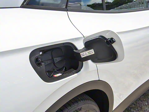 2024�� ������������