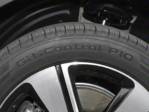 2026�� �鶯��������