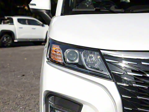 2025�� 401km ���� 7��