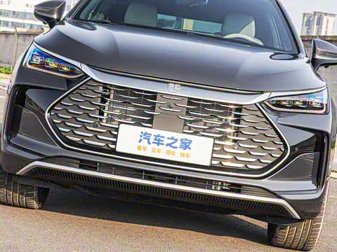 2025�� DM-i 115KM �����