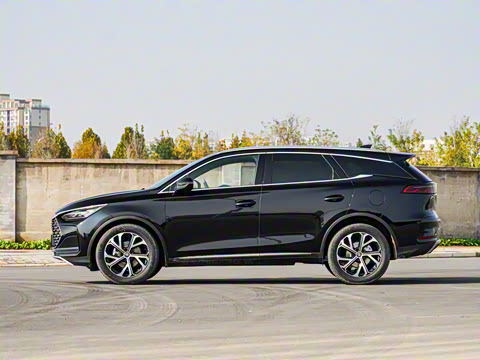 2025�� DM-i 115KM �����