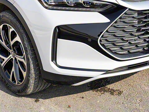 2025�� DM-i 115KM �����