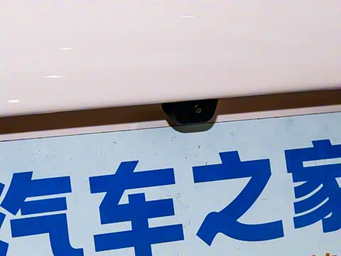 2025�� 205km ʥ����