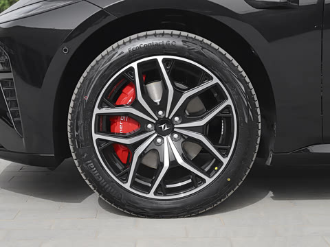 2025�� ���� 565����Max�캽��