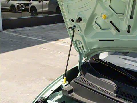 2025�� 205km ���߿�