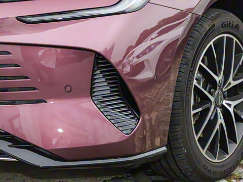 2025�� �Ǽݰ� DM-i 1.5T 125km �콢��