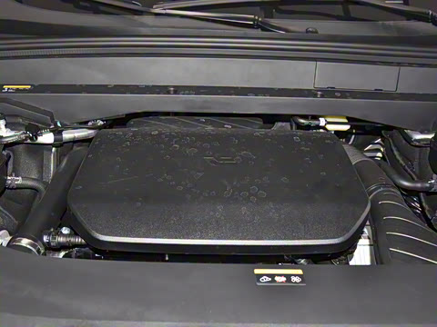 2025�� Max ���ܻ��°�