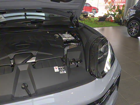 2025�� Cayenne 3.0T ���ΰ�