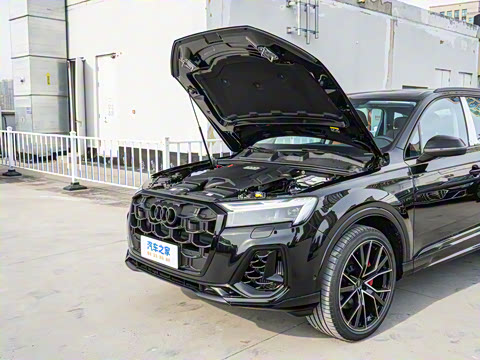 2025�� 55 TFSI quattro S line����ʿ��