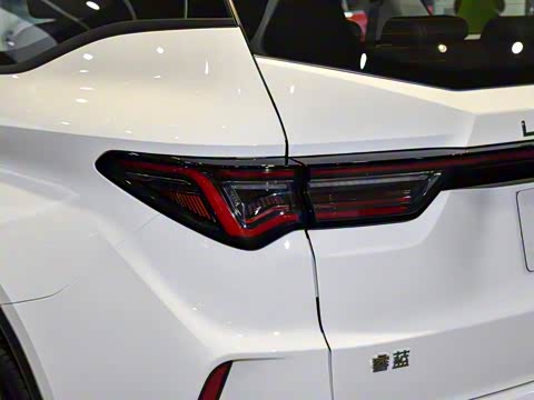 2025�� ��������