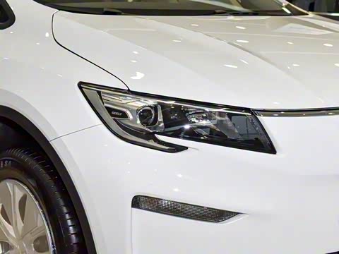 2025�� ��������