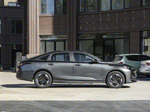 2025�� ����� 145 ������