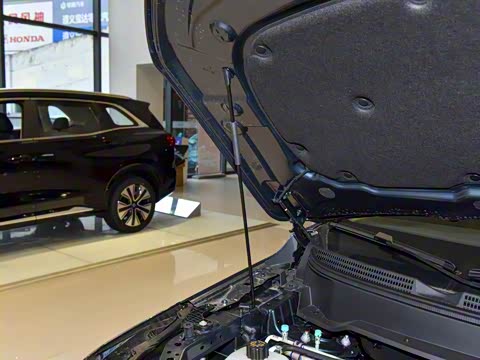 2025�� 165km ��������Pro 5��