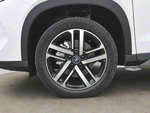 2024�� 75km ������