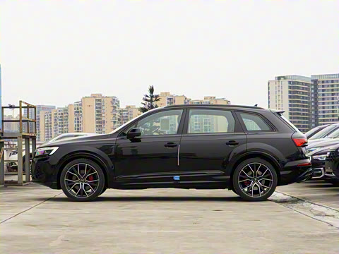 2025�� 55 TFSI quattro S line��ѩ�˶���