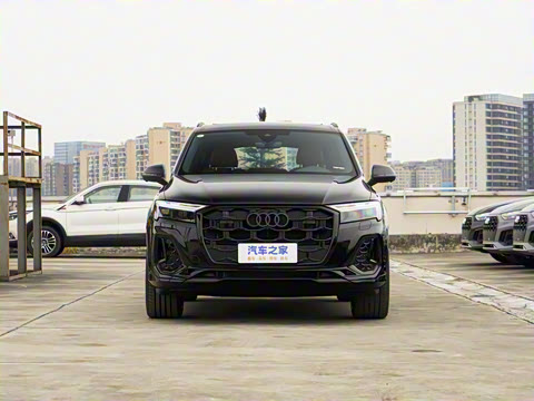 2025�� 55 TFSI quattro S line��ѩ�˶���