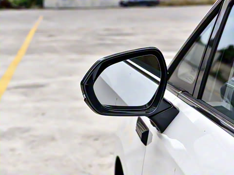 2025�� 527km ɭ�ֳ�������