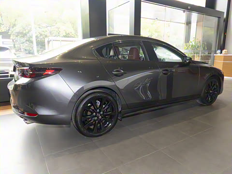 2023�� 2.0L �Զ����Ű�