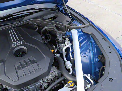 2024�� 2.0T ���Ͱ����������� Shooting Brake