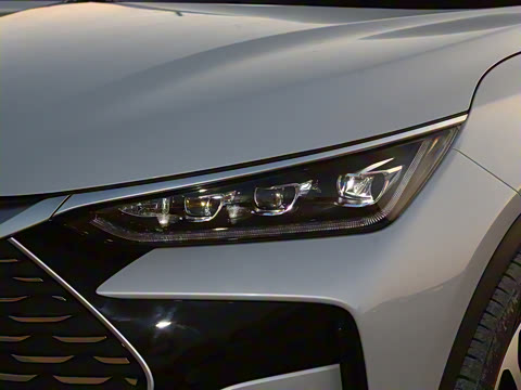 2025�� DM-i 115KM ������