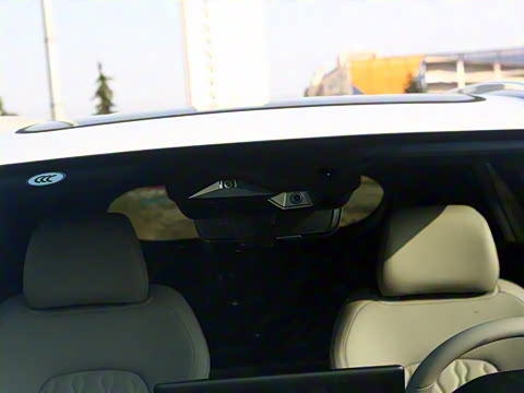 2025�� DM-i 115KM ������