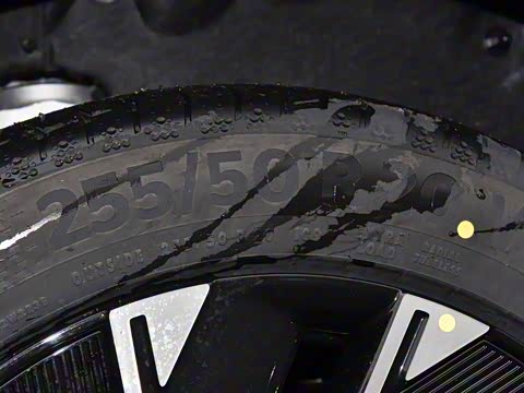 2024�� Max���������