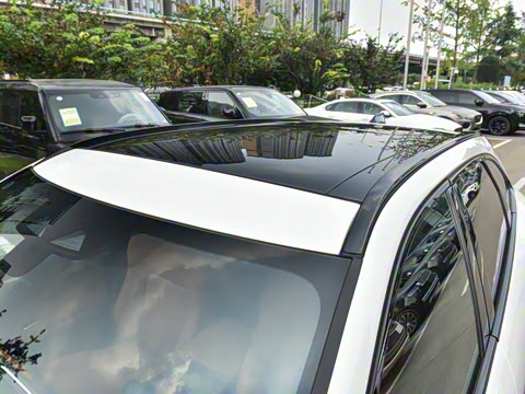 2025�� P250 R-Dynamic SE