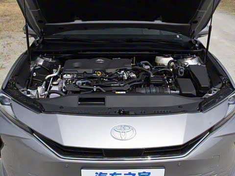 2024�� ˫�� 2.5HG ����