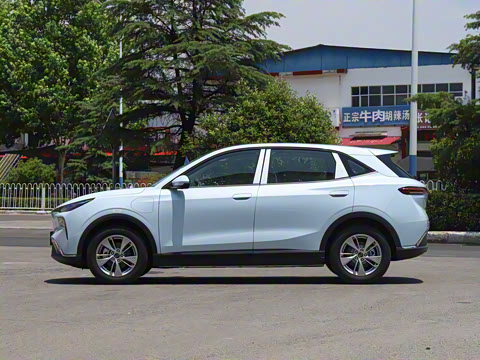 2025�� 445km ���ð�