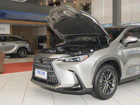 2024�� 260 ǰ�� ���ð�