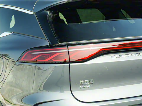 2025�� DM-i 115KM ������