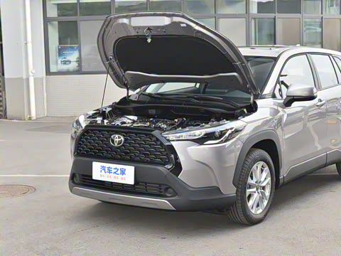 2024�� 2.0L ���ܵ��˫�� ��Ӣ��