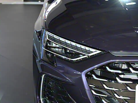 2025�� A3L Limousine 35TFSI �ɳ�������